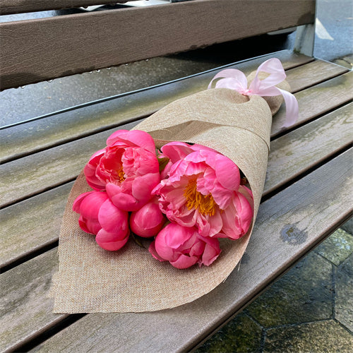 Coral Peonies